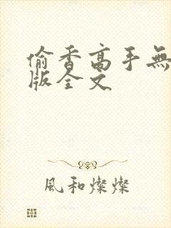 偷香高手无删减版全文