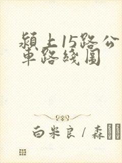 颍上15路公交车路线图