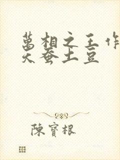 万相之王作者:天蚕土豆