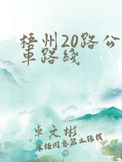 梧州20路公交车路线 梧州20路公交车路线
