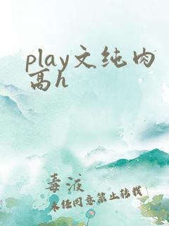 play文纯肉高h