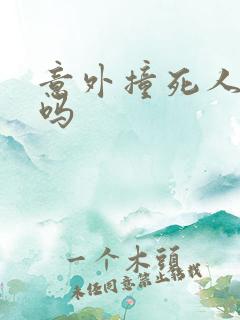 意外撞死人判刑吗