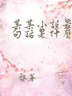 某某小说最后一句话是什么