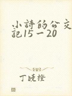 小诗的公交车日记15一20