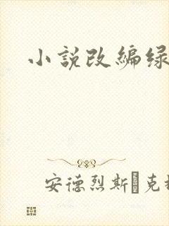 小说改编绿帽