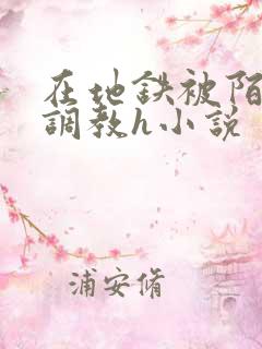 在地铁被陌生人调教h小说