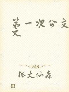 第一次公交车作文