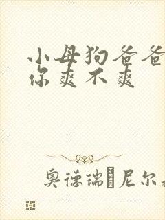 小母狗爸爸操的你爽不爽