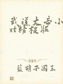 武道大帝小说txt精校版