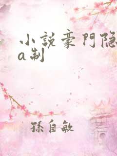 小说豪门隐婚aa制