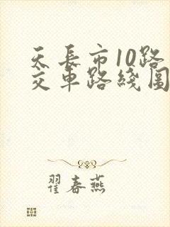 天长市10路公交车路线图
