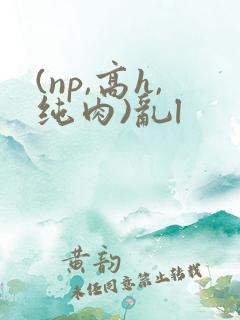 (np,高h,纯肉)乱l