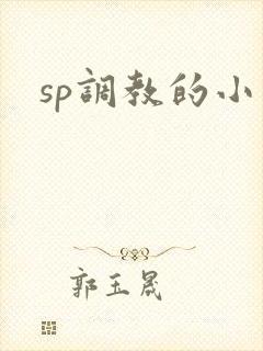 sp调教的小说