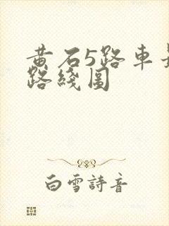 黄石5路车最新路线图