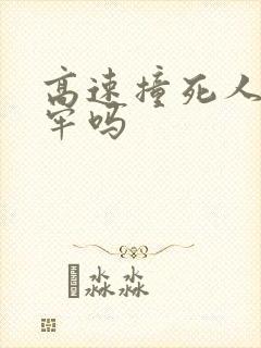 高速撞死人要坐牢吗
