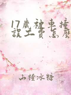 17岁被车撞了误工费怎么赔