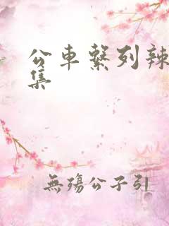 公车系列辣文合集