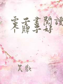 电子书阅读器哪个牌子好