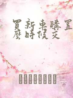 买新车购置税什么时候交
