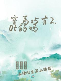 宝马x5有2.0t的吗