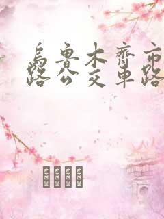 乌鲁木齐市29路公交车路线
