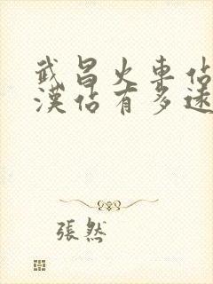 武昌火车站到武汉站有多远