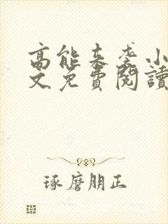 高能来袭小说全文免费阅读全文