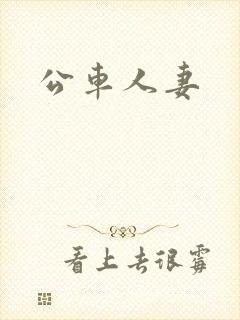 公车人妻