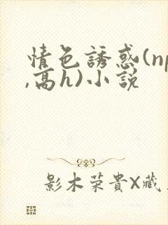 情色诱惑(np,高h)小说 情色诱惑(np,高h)小说