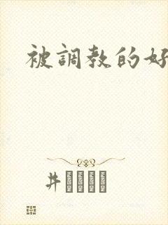 被调教的好爽