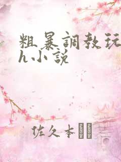 粗暴调教玩弄高h小说