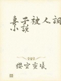 妻子被人调教h小说