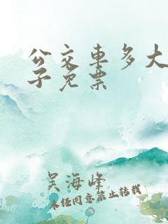 公交车多大的孩子免票