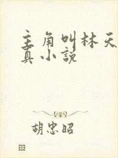 主角叫林天的修真小说