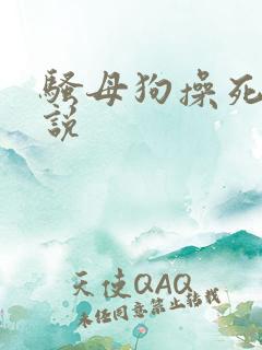 骚母狗操死你小说