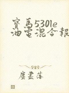 宝马530le油电混合报价
