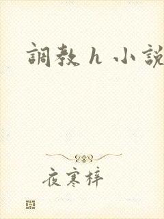 调教 h 小说