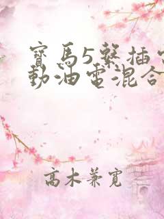 宝马5系插电混动油电混合怎么样