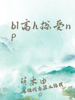 bl高h总受np