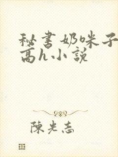 秘书奶咪子真大高h小说