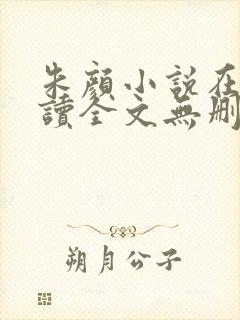 朱颜小说在线阅读全文无删减