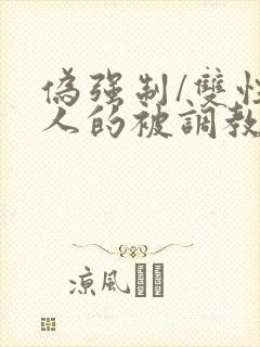 伪强制/双性美人的被调教简白