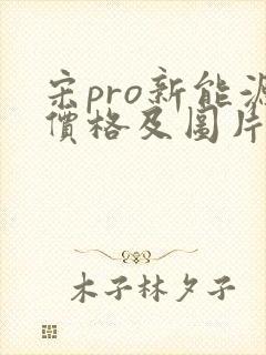 宋pro新能源价格及图片报价