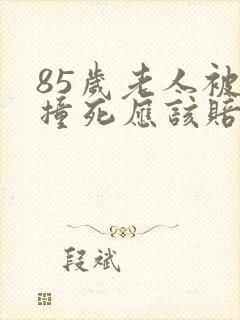 85岁老人被车撞死应该赔偿多少