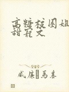 高糖校园姐弟恋甜宠文