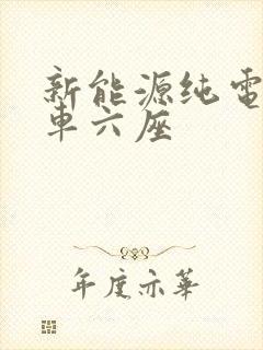 新能源纯电动汽车六座