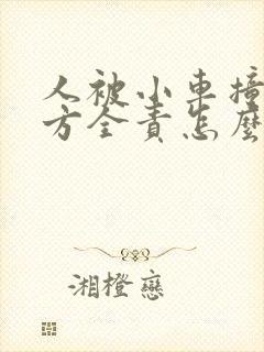 人被小车撞了对方全责怎么谈赔偿 人被小车撞了对方全责怎么谈赔偿