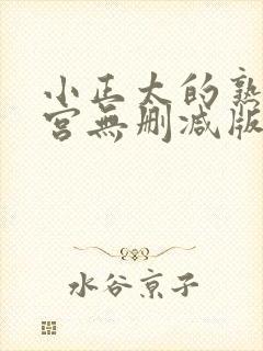 小正太的熟女后宫无删减版小说情节