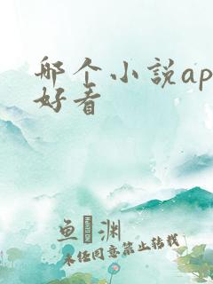 哪个小说app好看