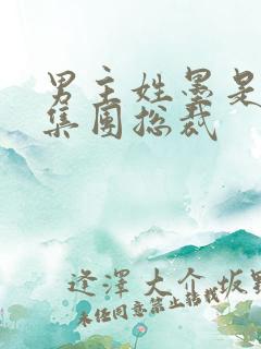 男主姓墨是墨氏集团总裁